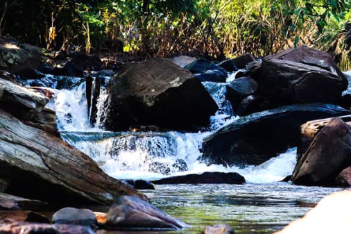 Jalatharangini Waterfalls - Maredumilli