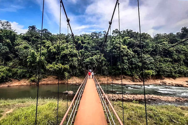 Jungle Star Bridge - Maredumilli